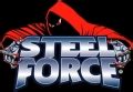 steel-force ROLLER COASTER LOGO - Pro Sport Stickers