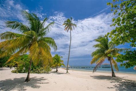 ¿cuál Es La Mejor época Para Ir Al Caribe Guía De Clima Y Actividades