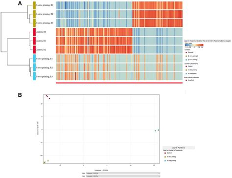 Comparative Proteomics Analysis Of Growth Primed Adult Dorsal Root