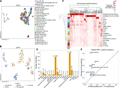 Distinct Proteomic Profiles According To Cell Type A Proteomic Data