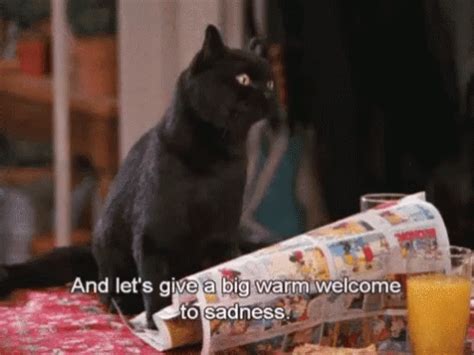 Salem Sadness GIF - Salem Sadness Cat - Discover & Share GIFs