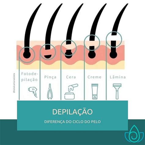 Aparelho de depilação masculina tudo o que você precisa saber