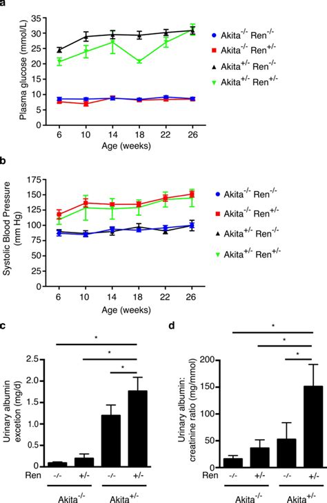 A New Easily Generated Mouse Model Of Diabetic Kidney Fibrosis