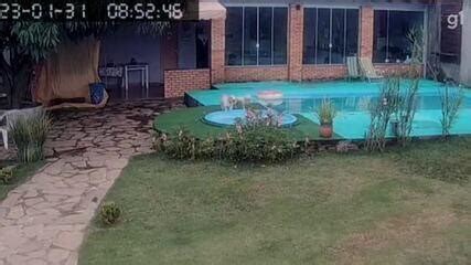 VÍDEO filhote de cachorro quase morre afogado em piscina e homem pula