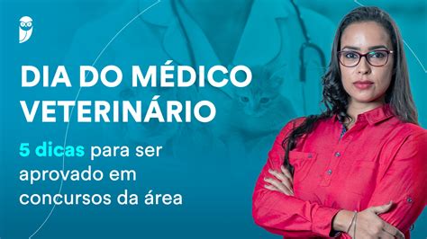 Dia do Médico Veterinário 5 dicas para ser aprovado na área