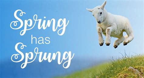 Spring Has Sprung Fun Facts The Storage Inn Blog