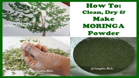 How To Clean Dry Moringa Leaves Make Your Own Moringa Powder