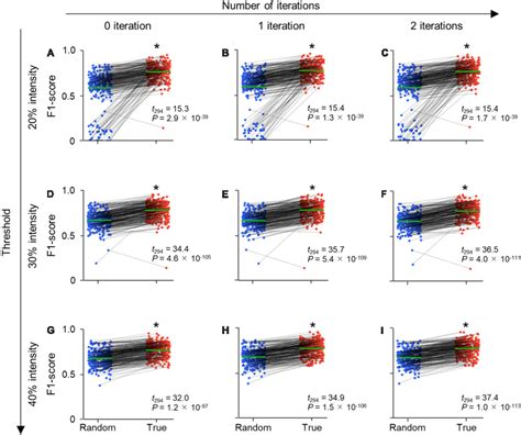 Figure 1 From Machine Learning Based Segmentation Of The Rodent