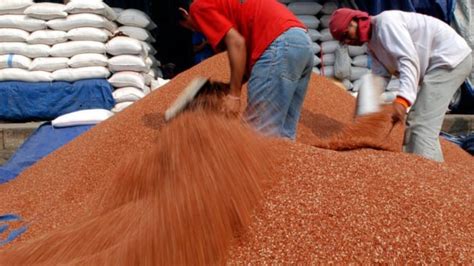 Menelisik Kawasan Desa Wisata Produksi Teh Beras Merah Di Bali