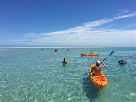 Ab Hervey Bay Fraser Island Beach Und Barbecue Bootsfahrt Getyourguide