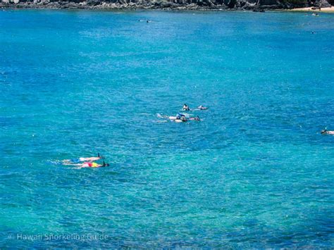 Kapalua Bay Snorkeling Secrets! The Complete Guide to Maui Snorkeling!