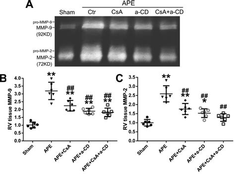 Inhibition Of The Cyclophilin A CD147 Interaction Attenuates Right