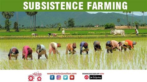 Types Of Farming In India Procedure Benefits And Role