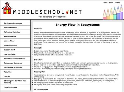 Energy Flow In Ecosystems Lesson Plan For 6th 8th Grade Lesson Planet