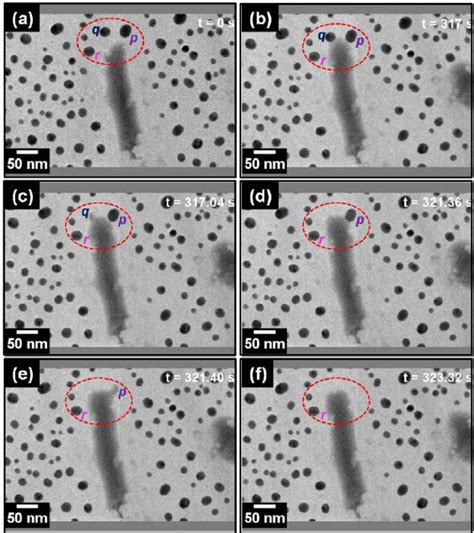 Real Time Bright Field Transmission Electron Micrographs Depicting