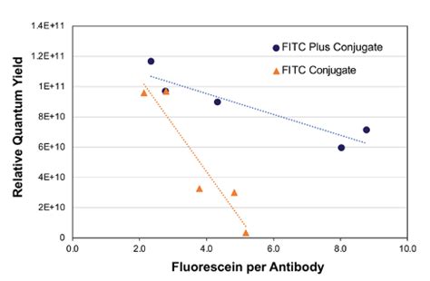 Coralite Fluorescent Dyes Proteintech