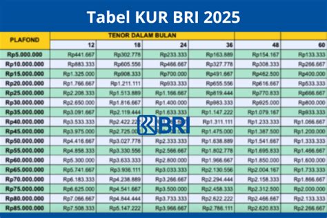 TABLE ANGSURAN KUR BRI 2025 Cicilan 50 Juta Hanya Rp966 700 Cung Media