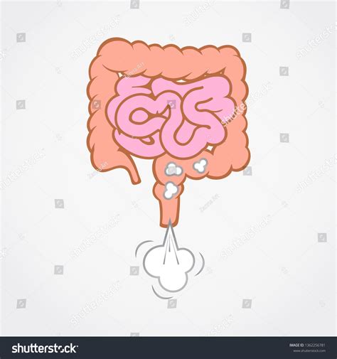 1,922 Intestinal gas Images, Stock Photos & Vectors | Shutterstock