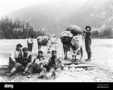 Americanos Nativos Del Pacifico Noroeste Fotografías E Imágenes De Alta