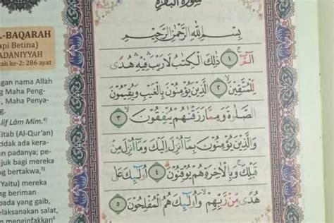 Bacaan Alif Lam Mim Latin Arab Dan Artinya Surat Al Baqarah Ayat