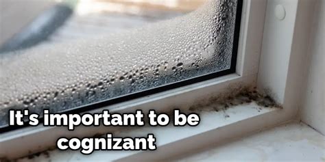 How To Tell If There Is Mold In Your House Detailed