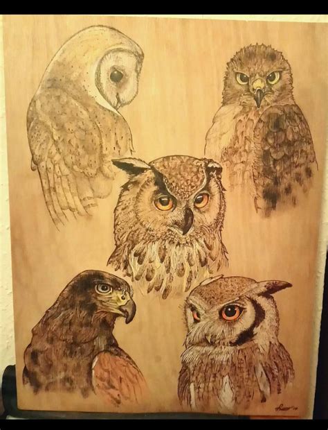 Pyrography Birds of Prey Piece on Birch Plywood - Etsy