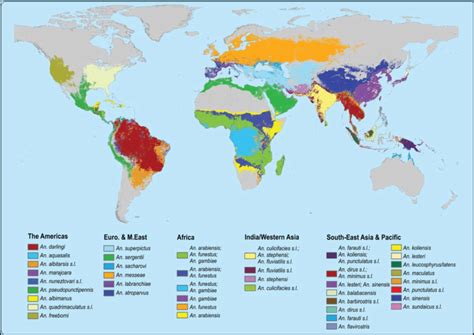 A Global Map Of Dominant Or Potentially Important Malaria Vector