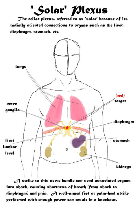 Solar Plexus Location And Breathing