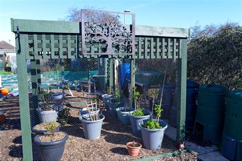 Gallery Tatnam Farm Allotments East Dorset Canford Heath And