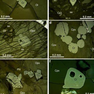 Reflected Light Photomicrographs Of Representative Textures Of Chromite