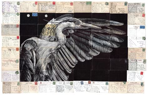 Birds Illustrated On Vintage Envelopes By Mark Powell Colossal