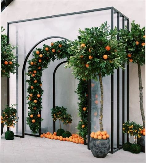 Boho Wedding Backdrop With Orange Trees And Potted Plants