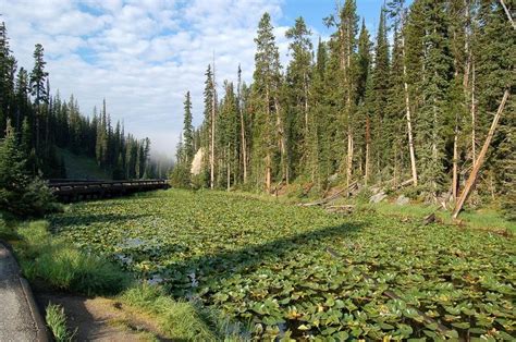 Isa lake: The Two-Ocean Lake | Amusing Planet