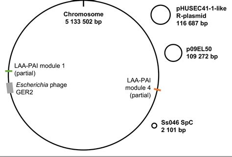 Figure 2 From An Outbreak Of A Rare Shiga Toxin Producing Escherichia