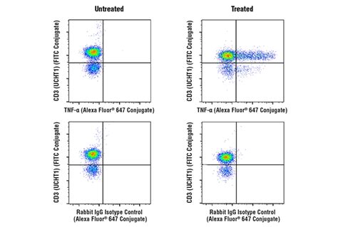 Human T Cell Th1 Cytokine Response Flow Cytometry Panel | Cell Signaling Technology