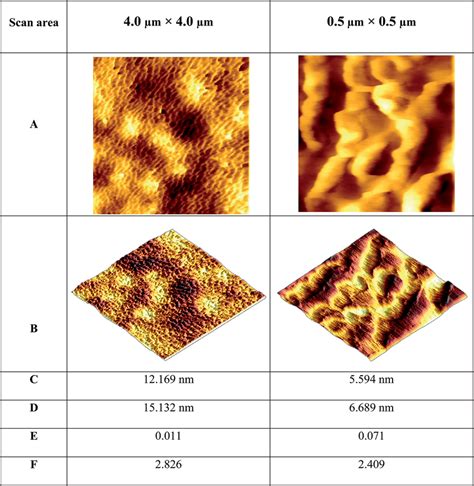 Afm Data Showing 2d Height Data A 3d Topography B S A C S Q