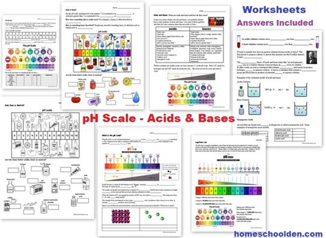 The PH Scale Acids And Bases Worksheets Liesl Homeschool Den