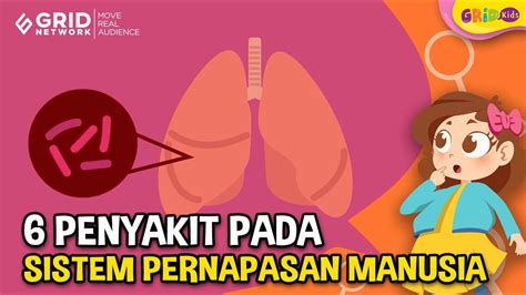 Penyakit Yang Menyerang Sistem Pernapasan Salah Satunya Influenza