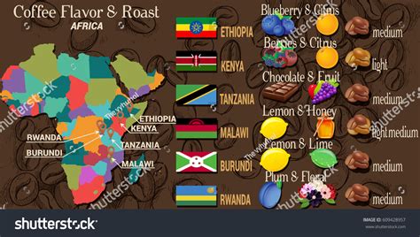 Coffee Map Africa Coffee Flavor Roast Stock Vector (Royalty Free ...