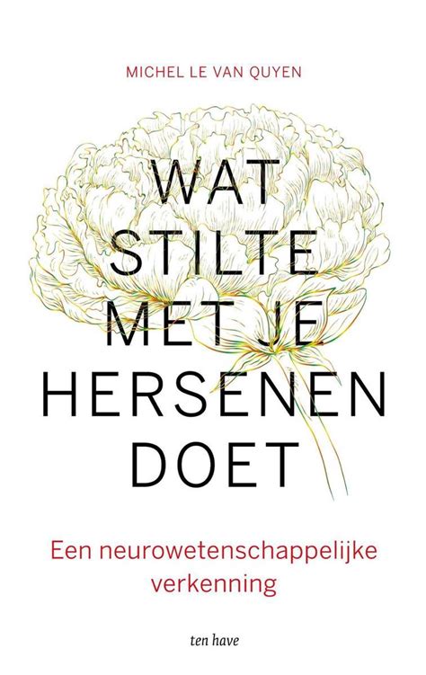 Wat Stilte Met Je Hersenen Doet Ebook Michel Le Van Quyen