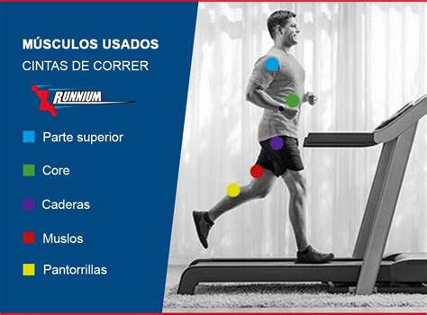 Cintas De Correr Gu A Definitiva Runnium Es