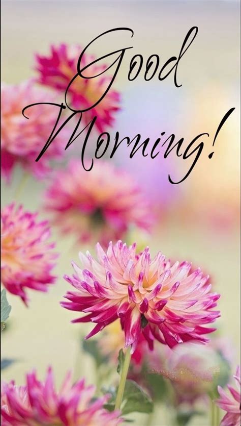 top   beautiful good morning images amazing collection