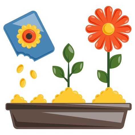 Premium Vector Flower Transformation From Seed To Plant Concept