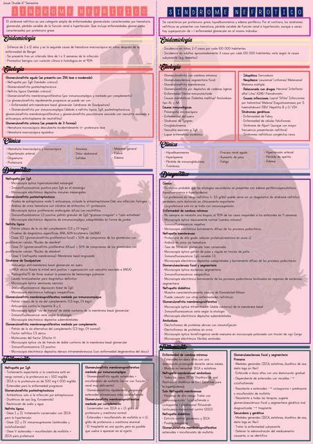 Resumen síndrome nefrótico y nefrítico Josuchu uDocz