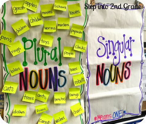 Step Into 2nd Grade With Mrs Lemons Singular And Plural Nouns Singular And Plural Nouns