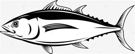 Retro Black And White Sideview Of The Albacore Thunnus Alalunga Also