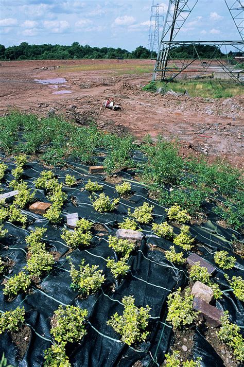 Reclaimed Land Photograph By Robert Brookscience Photo Library Fine