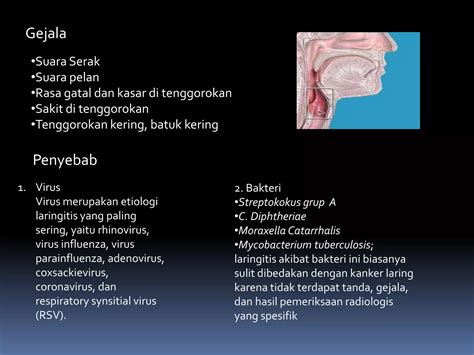 Infeksi Saluran Pernapasan Akut Ispa Ppt