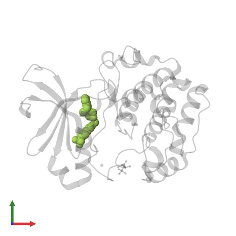 Pdb We Gallery Protein Data Bank In Europe Pdbe Embl Ebi