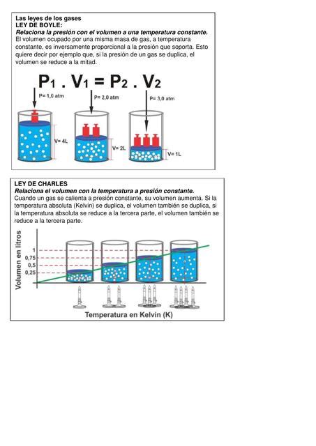 Leyes De Los Gases Honguito Biologo UDocz